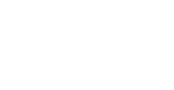 The New Life Chiropractic website header logo