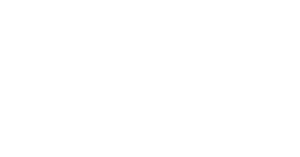 The New Life Chiropractic website logo